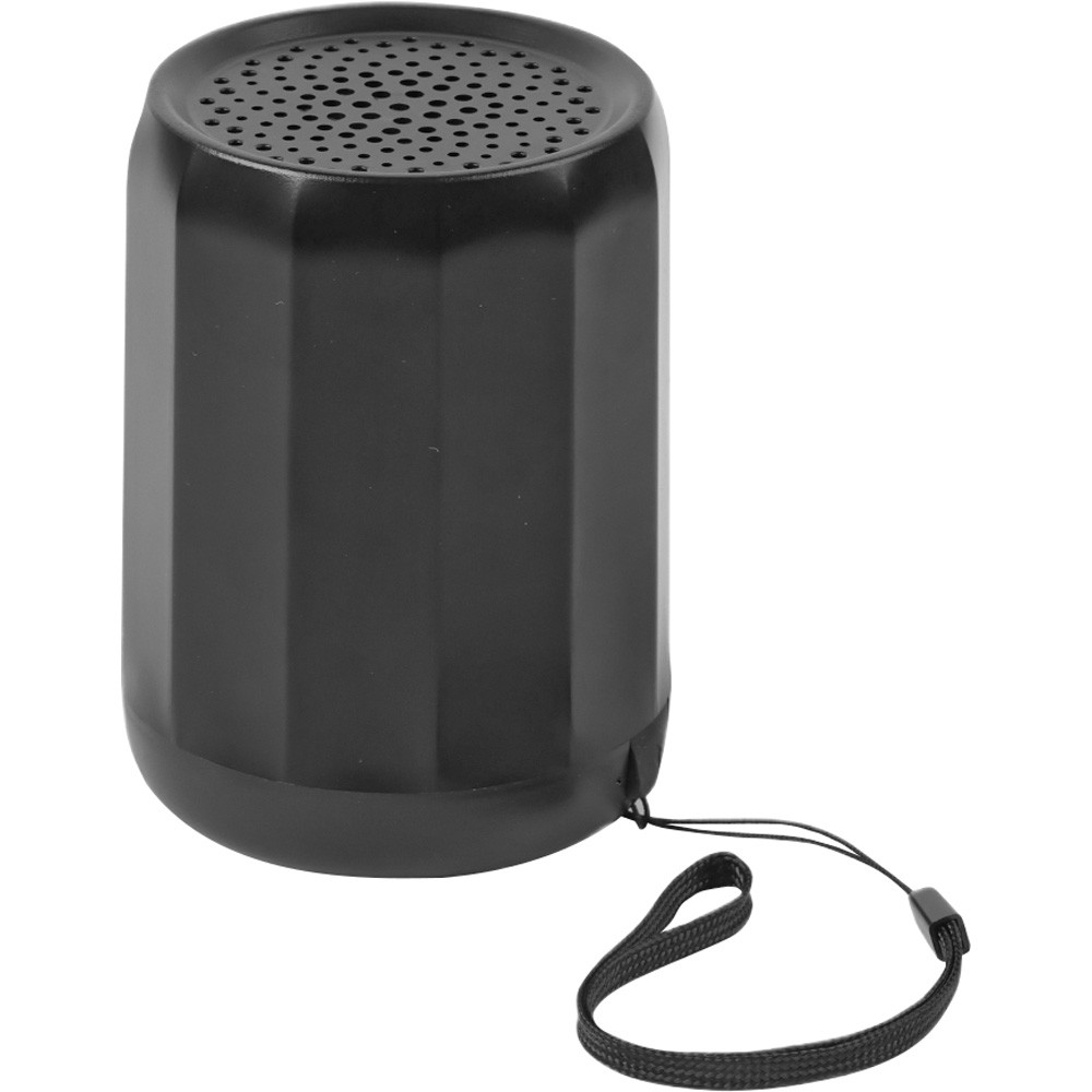 Speaker