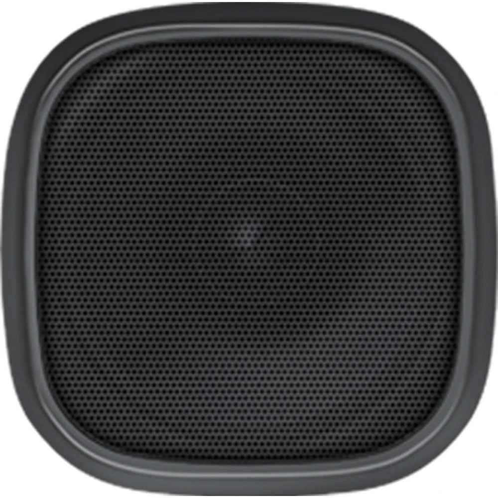 Speaker